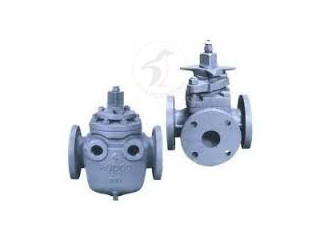 PLUG VALVES SUPPLIERS IN KOLKATA