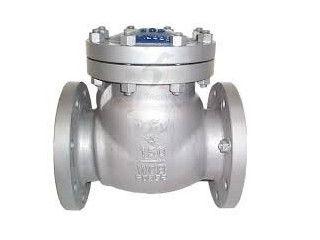 CHECK VALVES IN KOLKATA