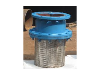 FOOT VALVES DEALERS IN KOLKATA