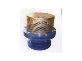 FOOT VALVES SUPPLIERS IN KOLKATA